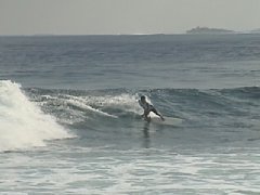 dsc00210.jpg